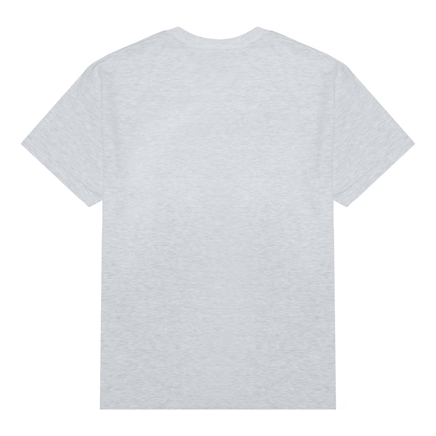 Alien Workshop Scanner T-Shirt - Ash