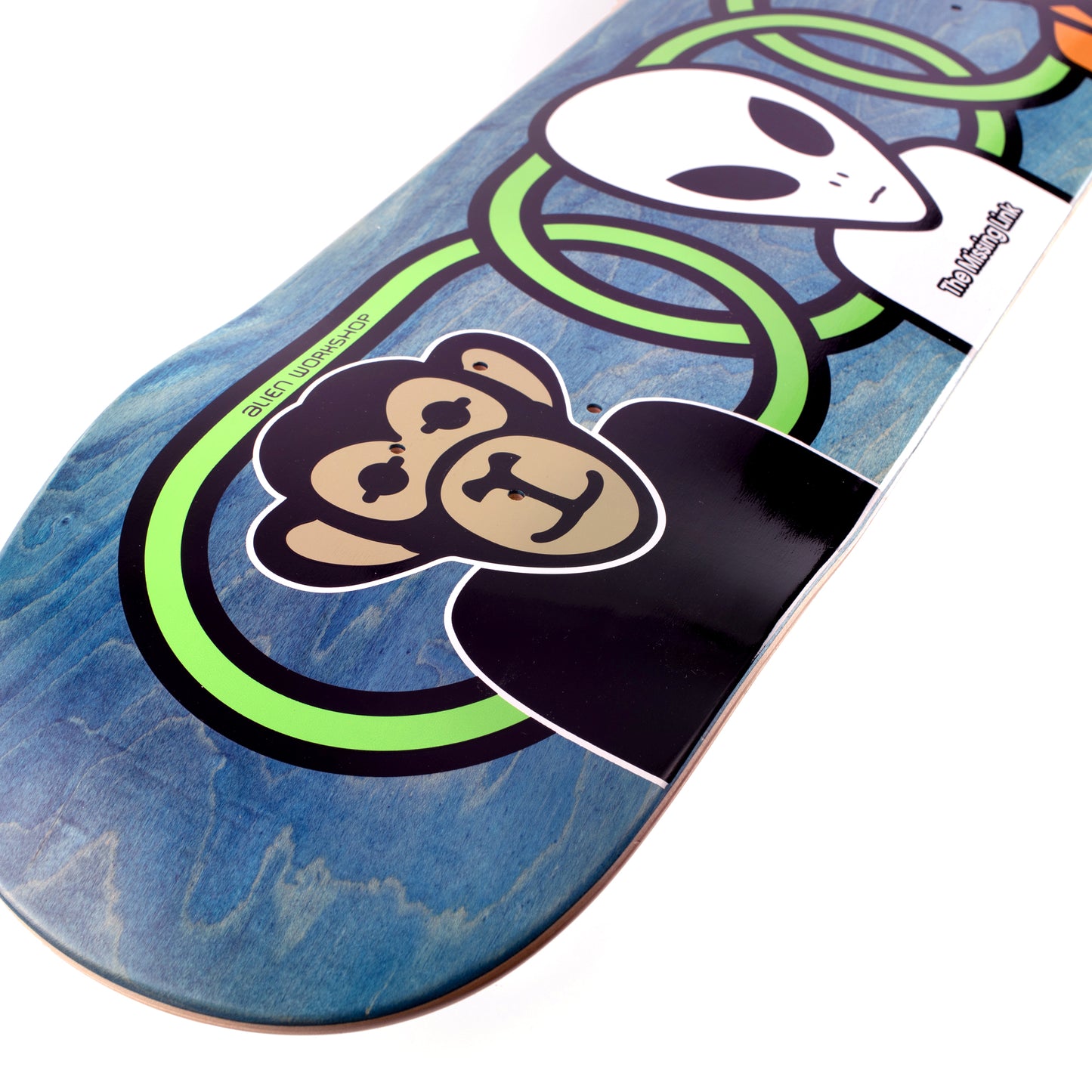 Missing Link [8.375”]